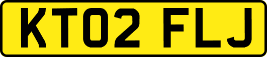 KT02FLJ