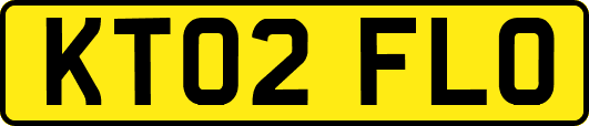 KT02FLO