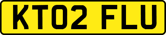KT02FLU