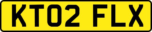 KT02FLX