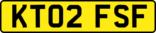 KT02FSF