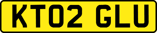 KT02GLU