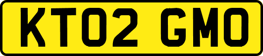 KT02GMO