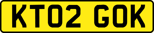 KT02GOK
