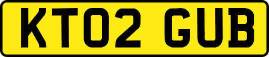 KT02GUB