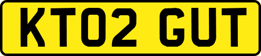 KT02GUT