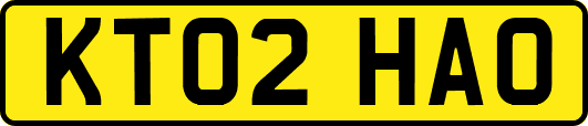 KT02HAO