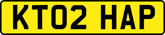 KT02HAP