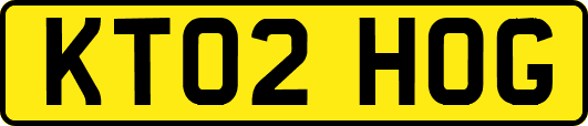 KT02HOG