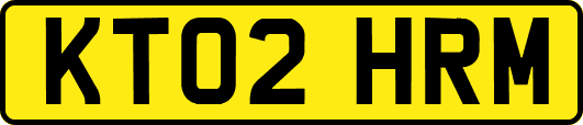 KT02HRM