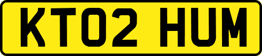 KT02HUM