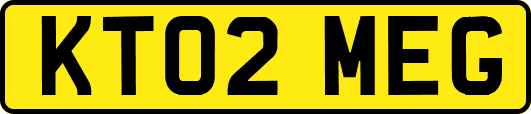KT02MEG