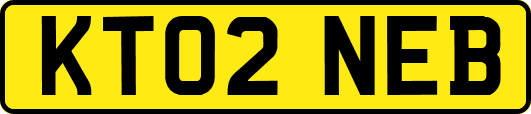 KT02NEB
