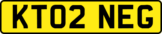 KT02NEG
