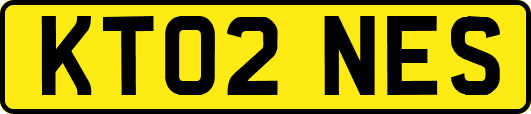 KT02NES