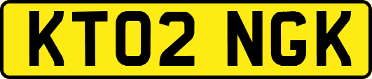 KT02NGK