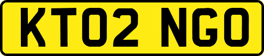 KT02NGO