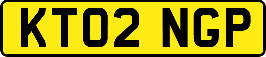 KT02NGP