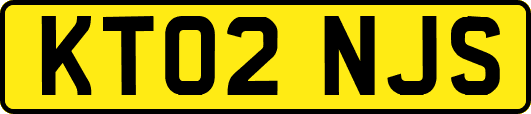 KT02NJS