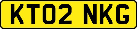 KT02NKG