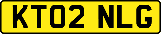 KT02NLG