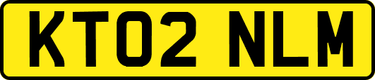 KT02NLM