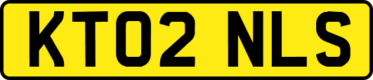 KT02NLS