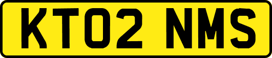 KT02NMS