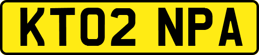 KT02NPA