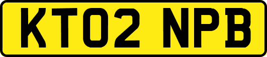 KT02NPB