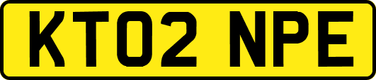 KT02NPE
