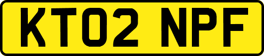KT02NPF