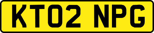 KT02NPG