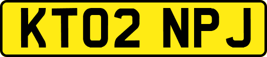 KT02NPJ