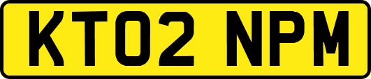 KT02NPM