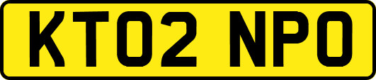 KT02NPO