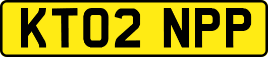 KT02NPP
