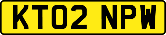 KT02NPW