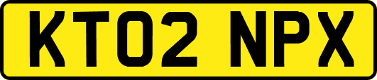 KT02NPX