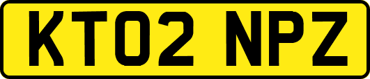 KT02NPZ