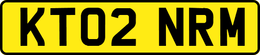 KT02NRM