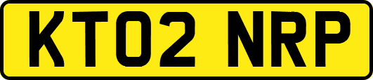 KT02NRP