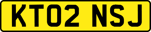 KT02NSJ
