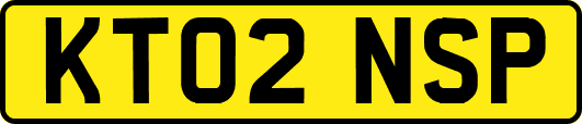 KT02NSP