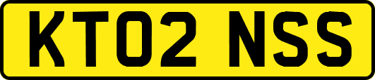 KT02NSS