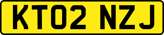 KT02NZJ
