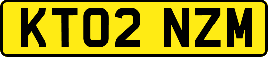 KT02NZM