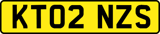 KT02NZS