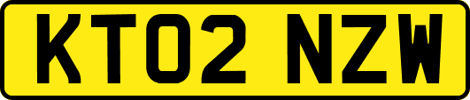 KT02NZW