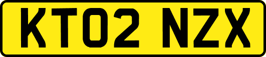 KT02NZX